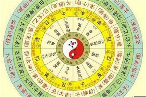 5月出生 五行|生辰八字查询